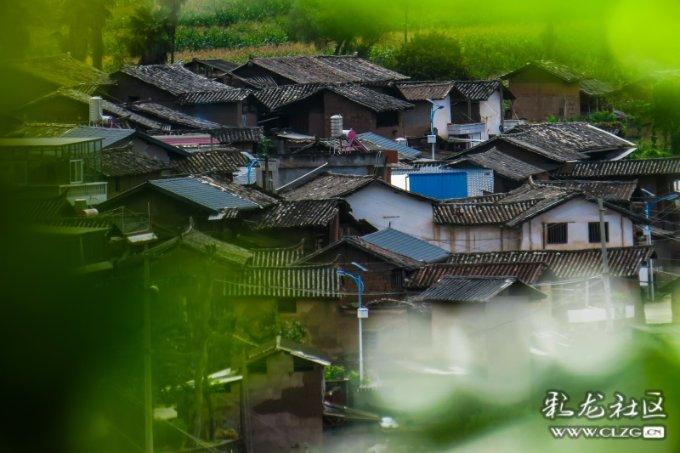 我要变长