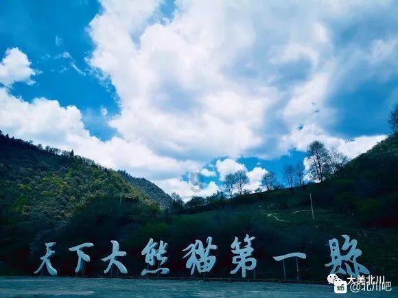 命运之手2